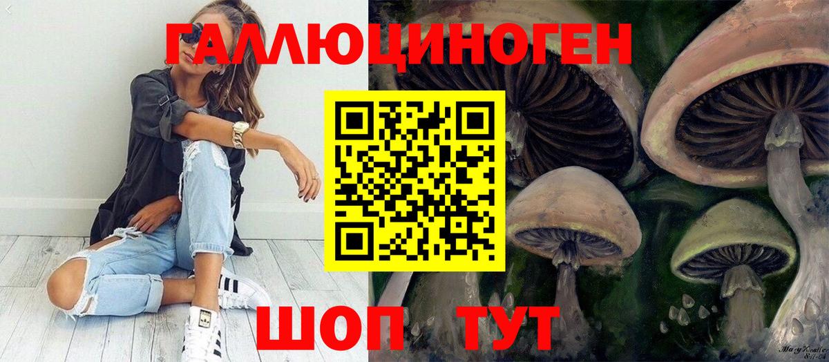 Галлюциногенные грибы Magic Shrooms  Вход с VPN  Лосино-Петровский  Галлюциногенные грибы Cubensis 